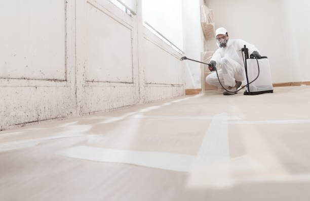 24/7 Emergency Commercial Mold Remediation experts in Lawrenceville, VA