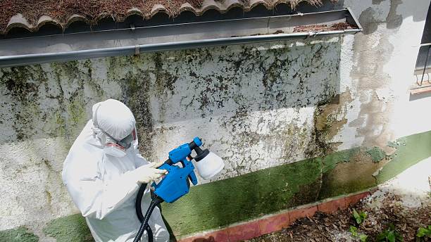 Top rated local Commercial Mold Remediation specialists in Lawrenceville, VA